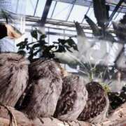 ヒメ日記 2025/05/07 18:44 投稿 桜木ミコ ビギナーズエステ ROOMiE＋（ルーミープラス）