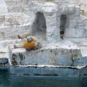 ヒメ日記 2025/05/15 19:37 投稿 桜木ミコ ビギナーズエステ ROOMiE＋（ルーミープラス）