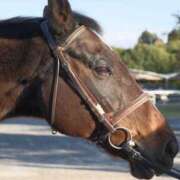 ヒメ日記 2025/06/14 11:52 投稿 桜木ミコ ビギナーズエステ ROOMiE＋（ルーミープラス）