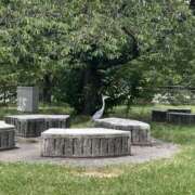 ヒメ日記 2025/06/25 17:00 投稿 桜木ミコ ビギナーズエステ ROOMiE＋（ルーミープラス）