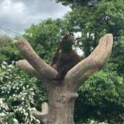 ヒメ日記 2025/06/27 17:38 投稿 桜木ミコ ビギナーズエステ ROOMiE＋（ルーミープラス）