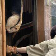 ヒメ日記 2025/06/30 19:33 投稿 桜木ミコ ビギナーズエステ ROOMiE＋（ルーミープラス）