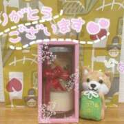 ヒメ日記 2025/07/26 20:12 投稿 桜木ミコ ビギナーズエステ ROOMiE＋（ルーミープラス）