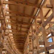 ヒメ日記 2025/10/14 19:40 投稿 桜木ミコ ビギナーズエステ ROOMiE＋（ルーミープラス）