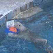 ヒメ日記 2025/11/07 18:49 投稿 桜木ミコ ビギナーズエステ ROOMiE＋（ルーミープラス）