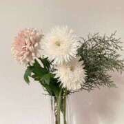 ヒメ日記 2025/11/29 20:06 投稿 桜木ミコ ビギナーズエステ ROOMiE＋（ルーミープラス）