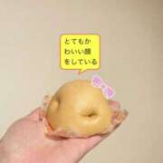 ヒメ日記 2025/11/30 16:19 投稿 桜木ミコ ビギナーズエステ ROOMiE＋（ルーミープラス）