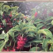 ヒメ日記 2026/03/19 22:02 投稿 桜木ミコ ビギナーズエステ ROOMiE＋（ルーミープラス）