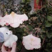 ヒメ日記 2026/03/20 22:54 投稿 桜木ミコ ビギナーズエステ ROOMiE＋（ルーミープラス）