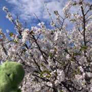 ヒメ日記 2026/04/05 20:54 投稿 桜木ミコ ビギナーズエステ ROOMiE＋（ルーミープラス）