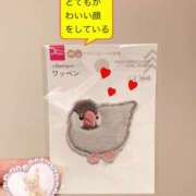 ヒメ日記 2026/04/09 21:18 投稿 桜木ミコ ビギナーズエステ ROOMiE＋（ルーミープラス）