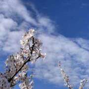 ヒメ日記 2026/04/15 12:51 投稿 桜木ミコ ビギナーズエステ ROOMiE＋（ルーミープラス）