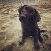 ヒメ日記 2025/04/24 23:20 投稿 水沢（みずさわ） 熟女の風俗最終章 名古屋店