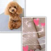 水沢（みずさわ） ☀天気よい 熟女の風俗最終章 名古屋店