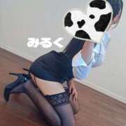 ヒメ日記 2025/07/13 13:10 投稿 みるく 電車ごっこ