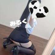 ヒメ日記 2025/07/27 17:10 投稿 みるく 電車ごっこ