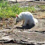 ヒメ日記 2025/08/18 22:01 投稿 みるく 電車ごっこ