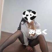 ヒメ日記 2025/09/08 11:20 投稿 みるく 電車ごっこ