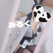 ヒメ日記 2025/10/31 19:20 投稿 みるく 電車ごっこ