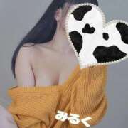 ヒメ日記 2025/11/03 22:10 投稿 みるく 電車ごっこ