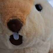 ヒメ日記 2025/11/11 14:20 投稿 みるく 電車ごっこ