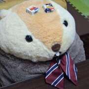 ヒメ日記 2025/11/16 23:20 投稿 みるく 電車ごっこ