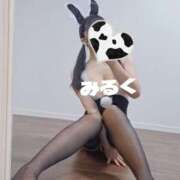 ヒメ日記 2025/11/18 19:20 投稿 みるく 電車ごっこ