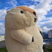 ヒメ日記 2025/12/01 12:52 投稿 みるく 電車ごっこ