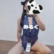 ヒメ日記 2025/12/10 15:30 投稿 みるく 電車ごっこ