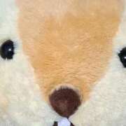 ヒメ日記 2025/12/10 20:50 投稿 みるく 電車ごっこ