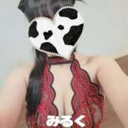 ヒメ日記 2025/12/16 21:20 投稿 みるく 電車ごっこ