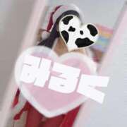 ヒメ日記 2025/12/24 21:20 投稿 みるく 電車ごっこ