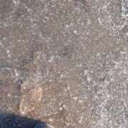 ヒメ日記 2026/01/12 08:46 投稿 みるく 電車ごっこ