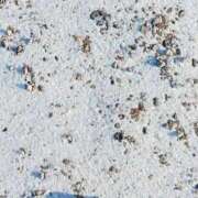 ヒメ日記 2026/01/25 08:59 投稿 みるく 電車ごっこ