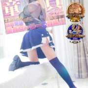 ヒメ日記 2026/02/03 09:20 投稿 みるく 電車ごっこ