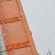 ヒメ日記 2026/02/08 15:20 投稿 みるく 電車ごっこ