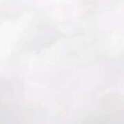 ヒメ日記 2026/02/10 13:20 投稿 みるく 電車ごっこ