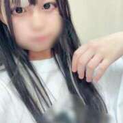 ヒメ日記 2025/09/12 21:26 投稿 みこ マツタケヒロシ