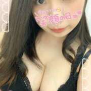 ヒメ日記 2025/04/29 10:46 投稿 ふうか 白いぽっちゃりさん