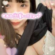 ヒメ日記 2025/05/04 11:22 投稿 ふうか 白いぽっちゃりさん