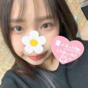 ヒメ日記 2026/03/28 00:15 投稿 ふうか 白いぽっちゃりさん