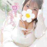 ヒメ日記 2026/04/15 20:44 投稿 ふうか 白いぽっちゃりさん