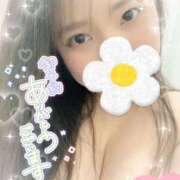 ヒメ日記 2026/04/17 10:08 投稿 ふうか 白いぽっちゃりさん