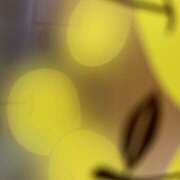 ヒメ日記 2025/05/04 11:14 投稿 りんか 風鈴（ふうりん）