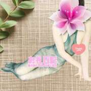 ヒメ日記 2025/07/28 19:18 投稿 夏川はなび ママとお姉さん鶯谷