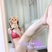 ヒメ日記 2025/05/17 12:28 投稿 こはく キミの乳首が好き！！大阪店