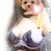 ヒメ日記 2025/11/20 08:24 投稿 中森すみれ こあくまな熟女たち高崎店(KOAKUMAグループ)