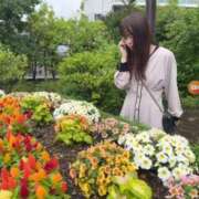 ヒメ日記 2025/06/30 20:16 投稿 みれい 道玄坂クリスタル