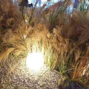 ヒメ日記 2026/03/20 21:06 投稿 みれい 道玄坂クリスタル