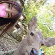 ヒメ日記 2026/04/13 14:36 投稿 みれい 道玄坂クリスタル